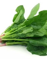 菠菜菠菜的菠怎么组词