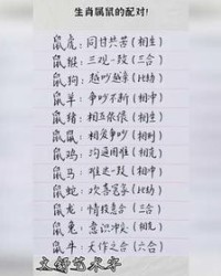 属鼠的怎么组词