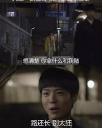 朴字怎么组词(卜字怎么组词)