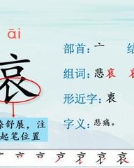 衷部首组词(衷部首和组词)