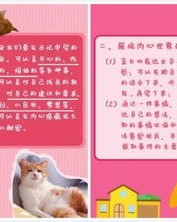 漂亮的漂怎么组词组词