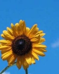 啊字怎么组词(啊字怎么组词多音字和拼音)