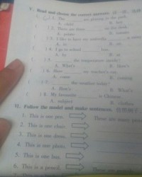 土豆的英语怎么组词