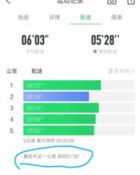 播放肚子的肚怎么组词