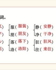 衣服的服怎么组词(打扮的扮怎么组词)