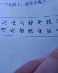 光字的拼音怎么组词