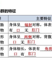 其他动物的它怎么组词