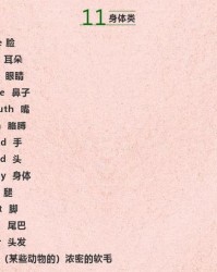 牌要怎么组词语