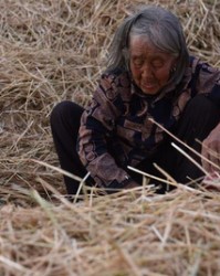 依怎么组词(依怎么组词二年级)