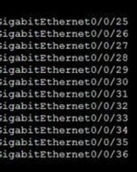 口的组词怎么组