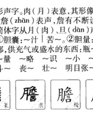 詹字组词(詹字怎么组词?)
