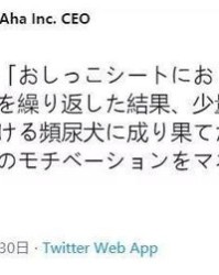 眼睛的目木木怎么组词