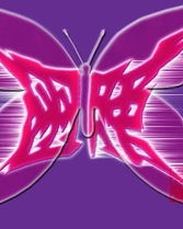 翅膀的翅怎么组词