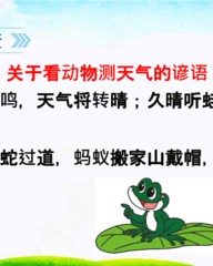 天气组词(天气组词怎么组)