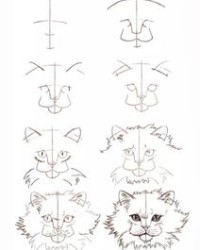 只组词猫怎么画的