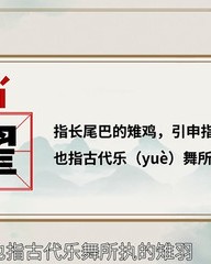 执的组词(执的组词和拼音和部首)