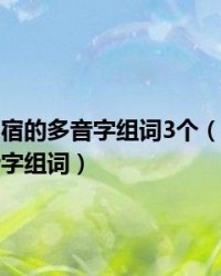 宿字多音字组词(宿字多音字组词和拼音怎么写)