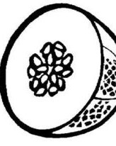 足球的图片组词怎么画