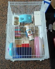 仓鼠笼子怎么组词啊