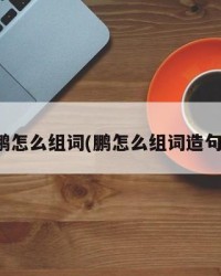 鹏怎么组词(鹏怎么组词造句)