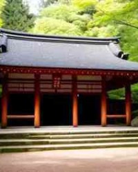 荧组词两个字(萤怎么组词两个字的)