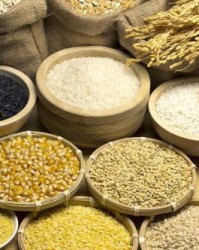 膳怎么组美食组词