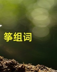 筝怎么组词(篷怎么组词)