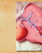 拴住的栓可以怎么组词