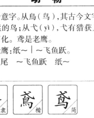 鹰部首和组词(鹰部首和组词和拼音)