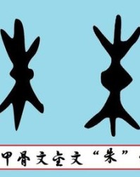 殊字组词(殊字组词和部首)