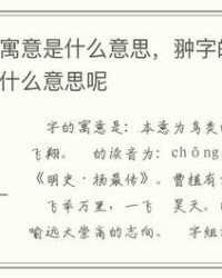 传组词和读音(传字组词和拼音怎么写)