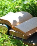 婆怎么组词(婆怎么组词组词语有哪些呢)