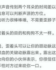 why脑袋的歪怎么组词