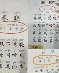 太阳的阳那漾怎么组词