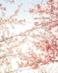 缤的拼音组词(缤的拼音组词怎么写的)