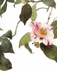 舔的组词有哪些(舔的组词怎么写?)