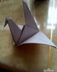 折纸的折怎么读怎么组词