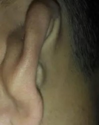 耳的组词有什么