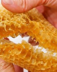 蜂蜜蜂怎么组词