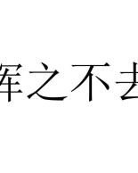 挥之不去的挥怎么组词