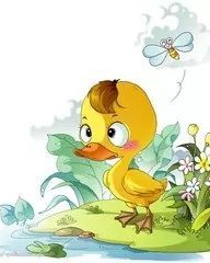 小鸭子的小怎么组词