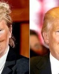 显怎么组词(鲜怎么组词)