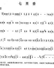 琴字怎么组词钢琴的琴