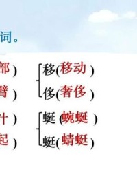 侈的组词(侈的组词和拼音和部首)