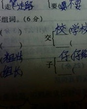 竹子旁的弗怎么组词