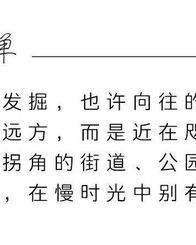 雨菲菲的菲怎么组词