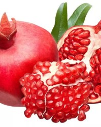 榴怎么组词石榴的榴