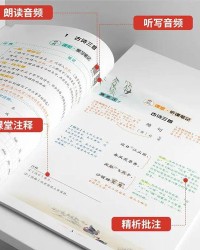 飞人的杯怎么组词