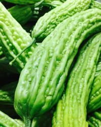 苦瓜苦怎么组词