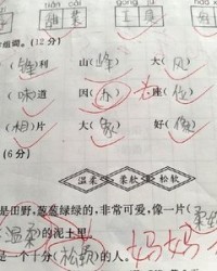 呆字怎么组词(待字怎么组词)
